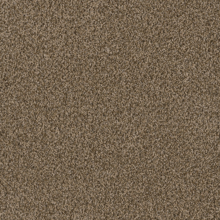 DreamWeaver - Hot Pursuit - Carpet
