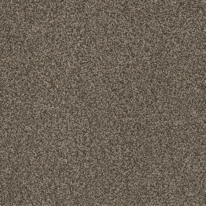 DreamWeaver - Hot Pursuit - Carpet