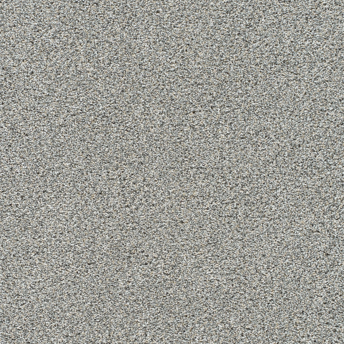 DreamWeaver - Lucky Penny II - Carpet