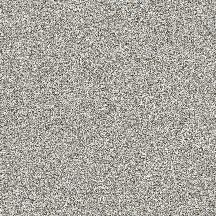 DreamWeaver - Lucky Penny II - Carpet