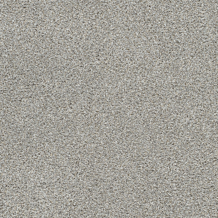 DreamWeaver - Lucky Penny II - Carpet