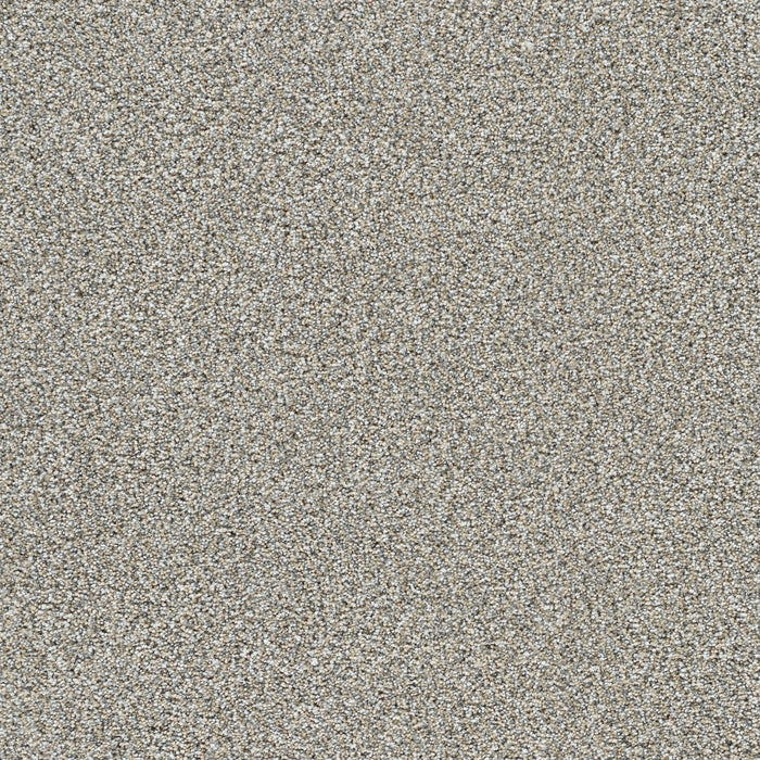 DreamWeaver - Lucky Penny II - Carpet