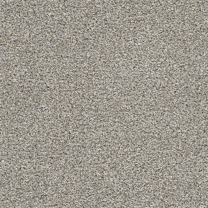 DreamWeaver - Lucky Penny II - Carpet
