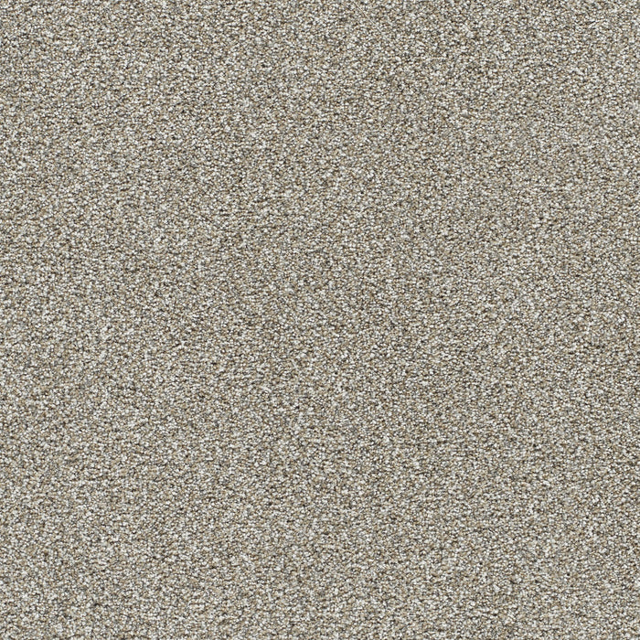 DreamWeaver - Lucky Penny II - Carpet