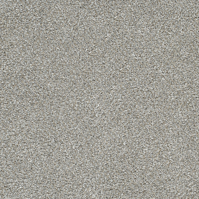 DreamWeaver - Lucky Penny II - Carpet