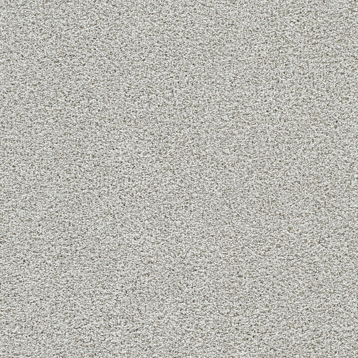 DreamWeaver - Lucky Penny II - Carpet