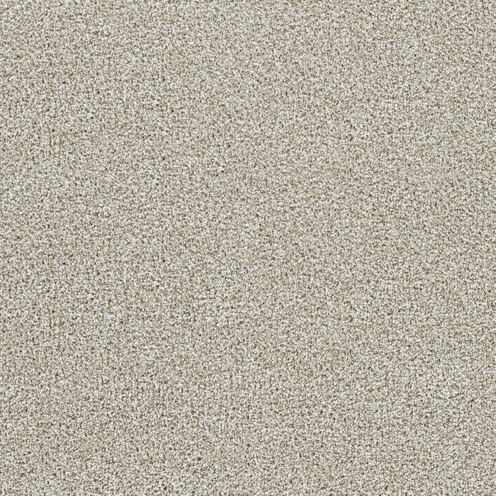 DreamWeaver - Lucky Penny II - Carpet