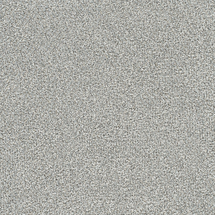 DreamWeaver - Lucky Penny II - Carpet