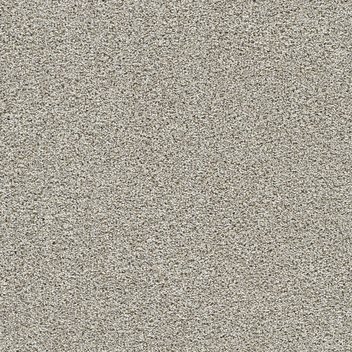 DreamWeaver - Lucky Penny II - Carpet