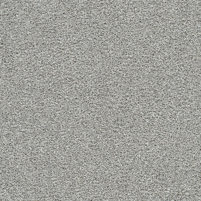 DreamWeaver - Lucky Penny II - Carpet