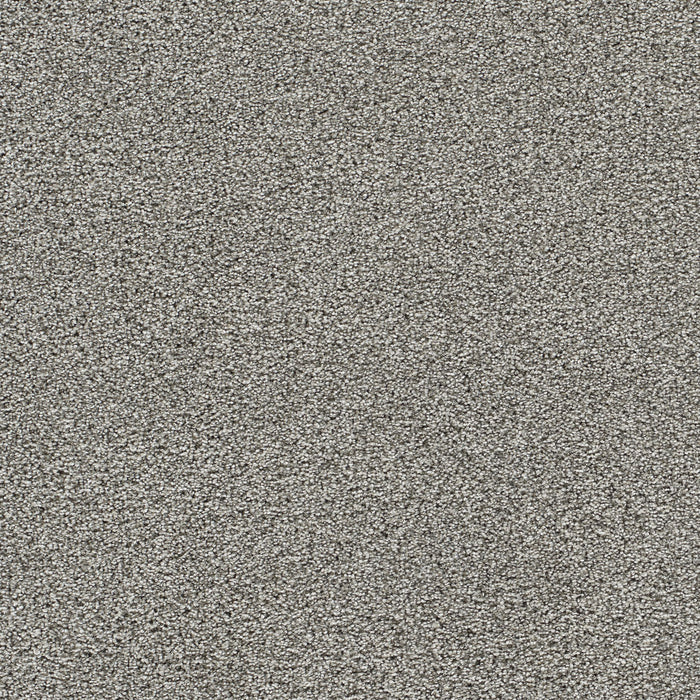 DreamWeaver - Lucky Penny II - Carpet