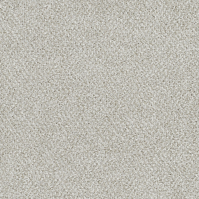 DreamWeaver - Lucky Penny II - Carpet