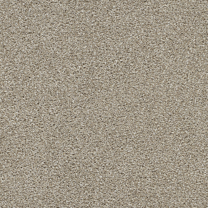 DreamWeaver - Lucky Penny II - Carpet