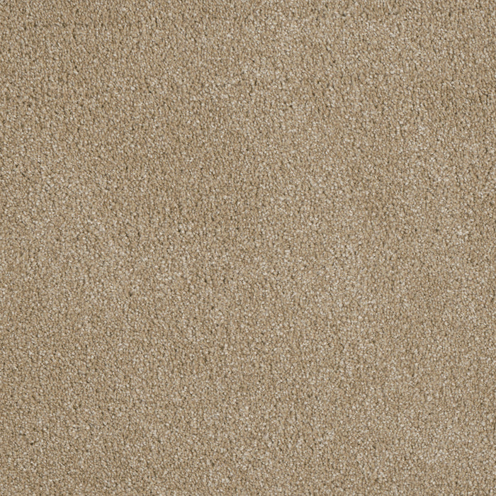 DreamWeaver - Luxor I - Carpet