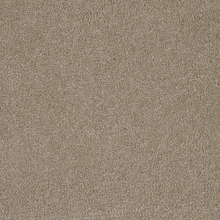 DreamWeaver - Luxor I - Carpet
