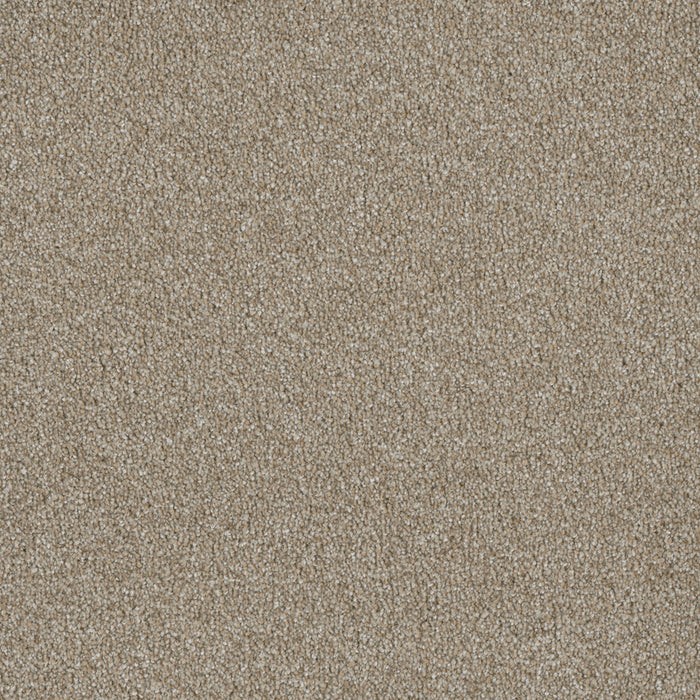 DreamWeaver - Luxor I - Carpet
