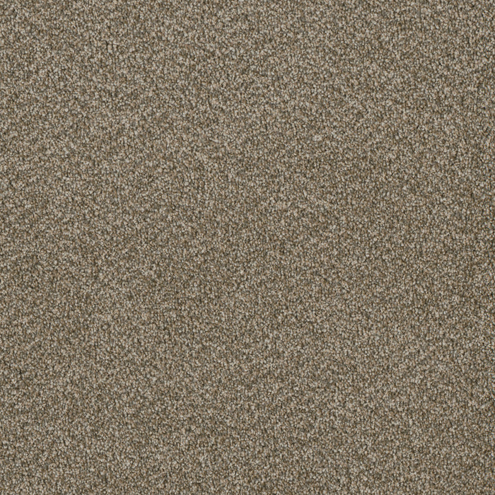 DreamWeaver - Luxor I - Carpet