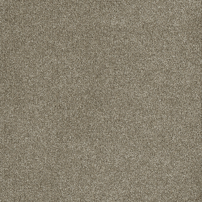 DreamWeaver - Malibu II - Carpet