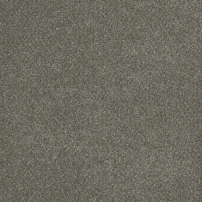 DreamWeaver - Malibu II - Carpet