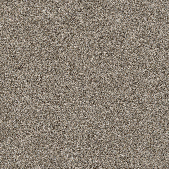 DreamWeaver - Malibu II - Carpet