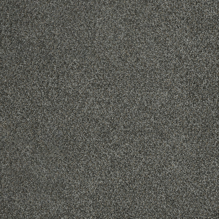DreamWeaver - Malibu II - Carpet