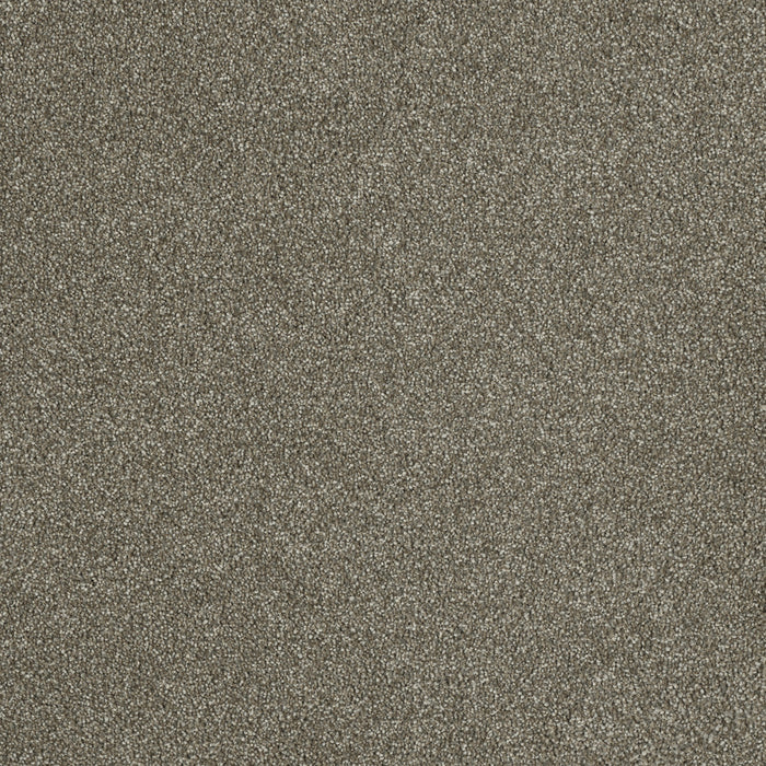 DreamWeaver - Malibu II - Carpet