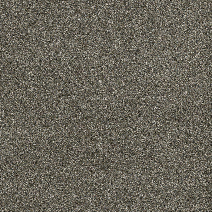 DreamWeaver - Malibu I - Carpet