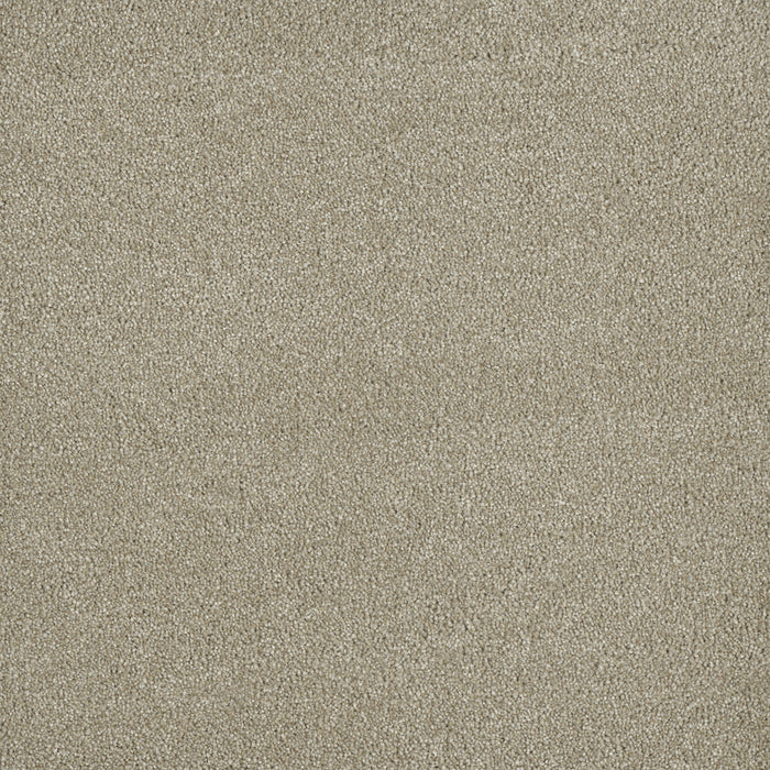 DreamWeaver - Malibu I - Carpet