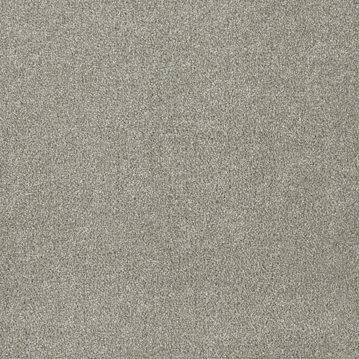 DreamWeaver - Malibu I - Carpet