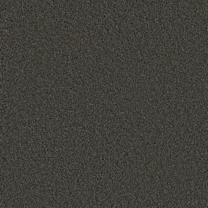 DreamWeaver - Metropolis III - Carpet