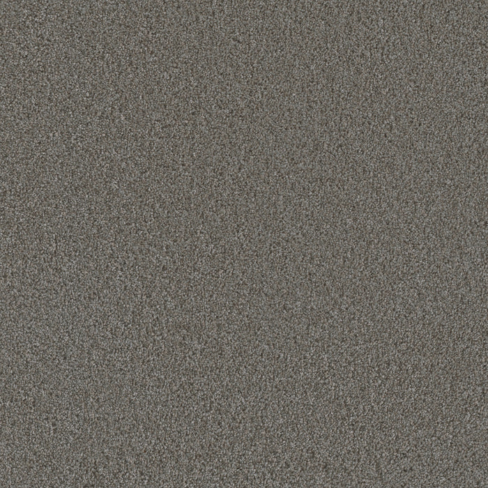 DreamWeaver - Metropolis III - Carpet