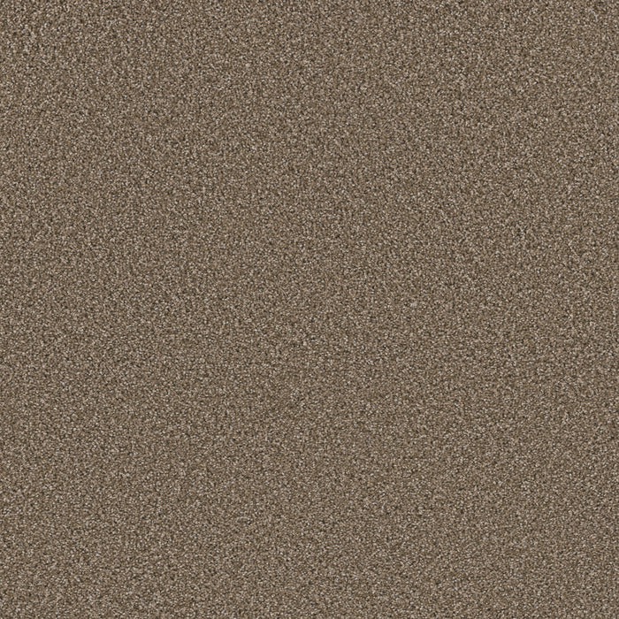 DreamWeaver - Metropolitan II - Carpet