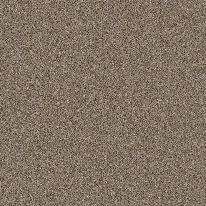 DreamWeaver - Metropolitan II - Carpet