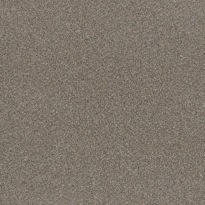DreamWeaver - Metropolitan II - Carpet