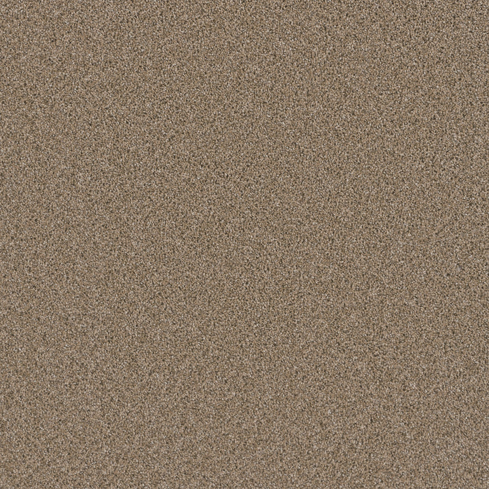DreamWeaver - Metropolitan II - Carpet