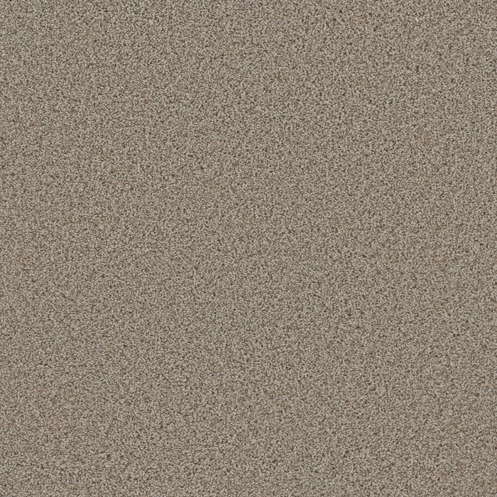 DreamWeaver - Metropolitan II - Carpet
