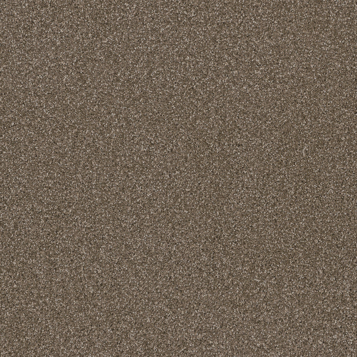 DreamWeaver - Metropolitan II - Carpet