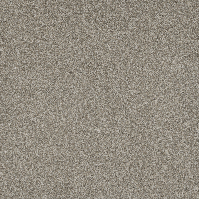 DreamWeaver - Mill Creek I - Carpet