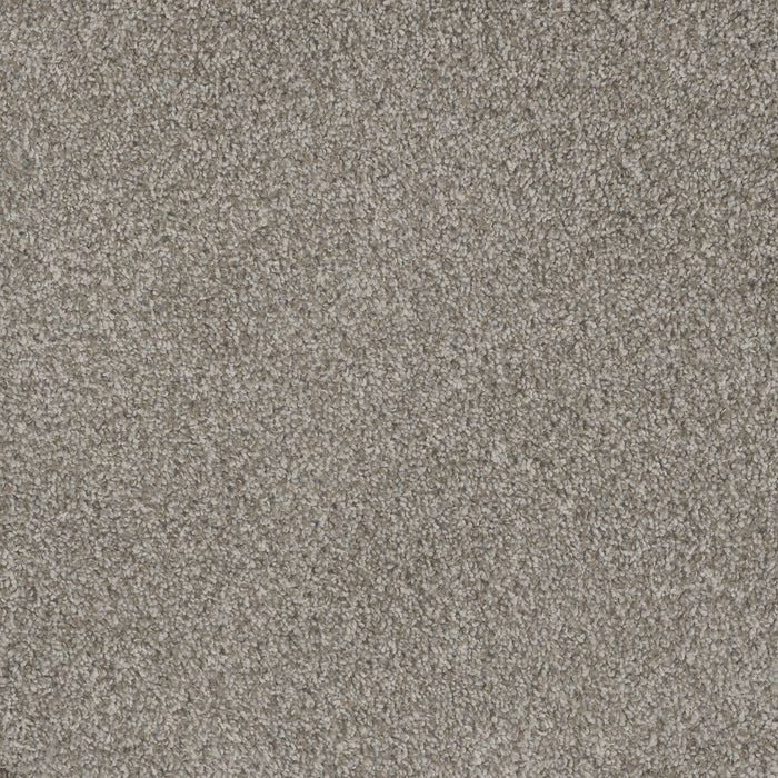 DreamWeaver - Mill Creek I - Carpet