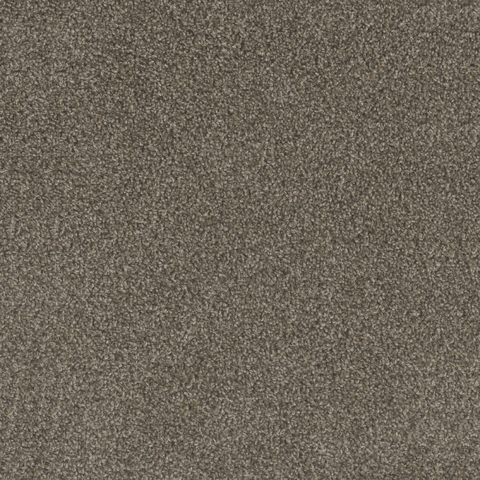 DreamWeaver - Mill Creek I - Carpet