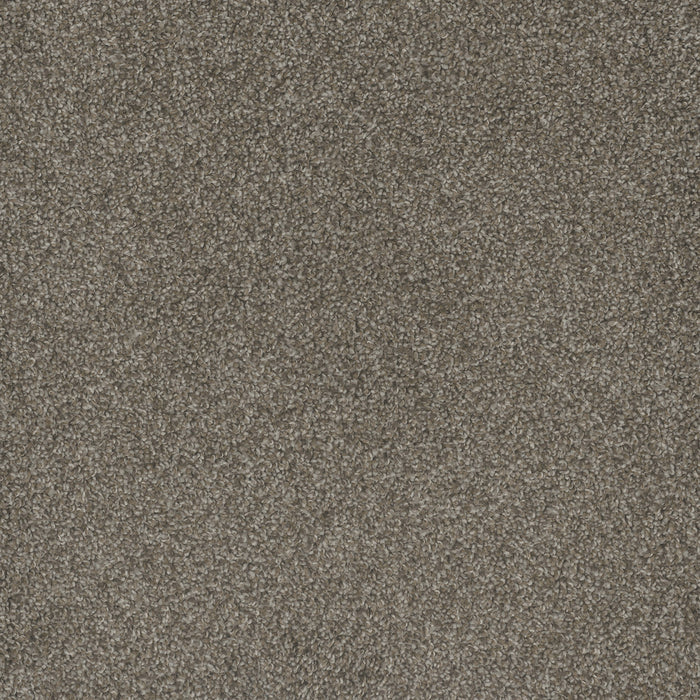 DreamWeaver - Mill Creek I - Carpet