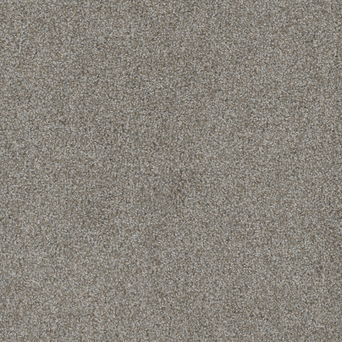 DreamWeaver - Mill Creek I - Carpet