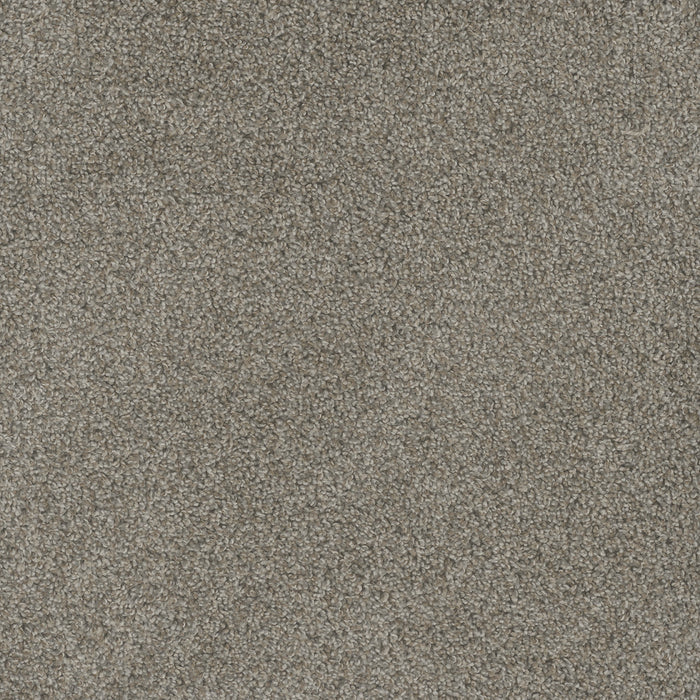 DreamWeaver - Mill Creek I - Carpet