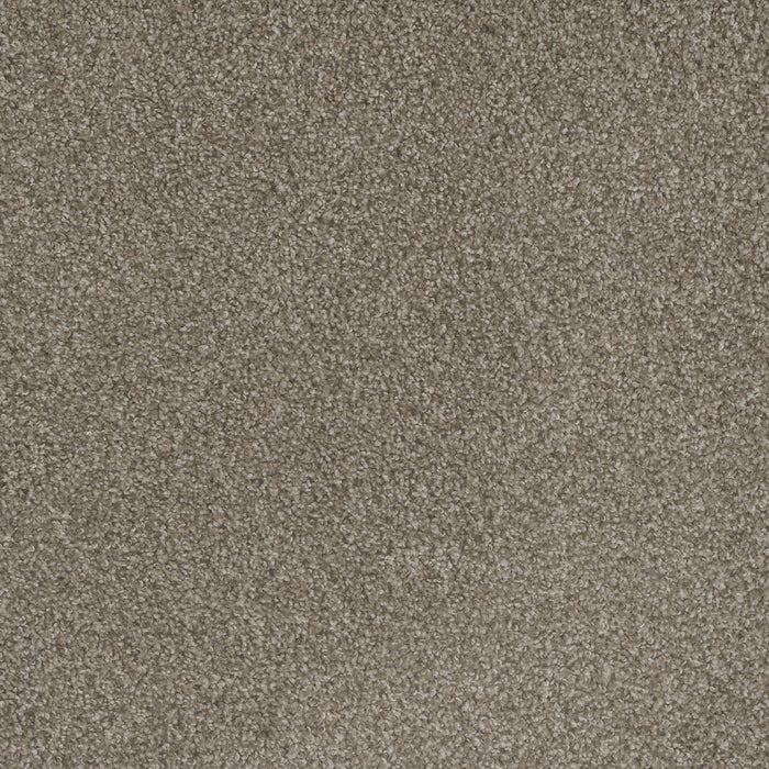 DreamWeaver - Mill Creek I - Carpet