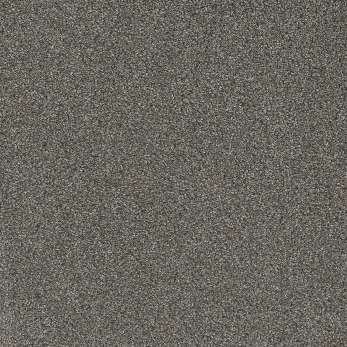 DreamWeaver - Mill Creek I - Carpet