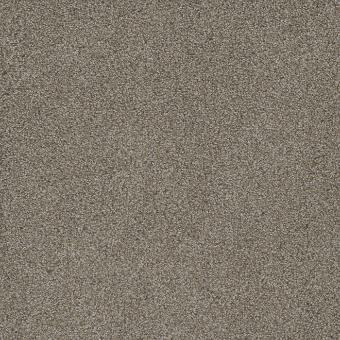DreamWeaver - Mill Creek I - Carpet
