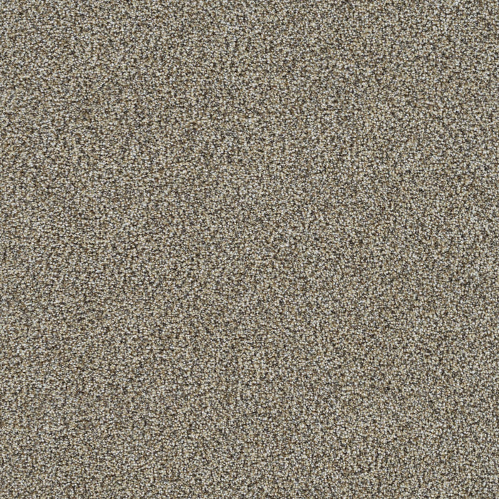 DreamWeaver - Mirage II - Carpet