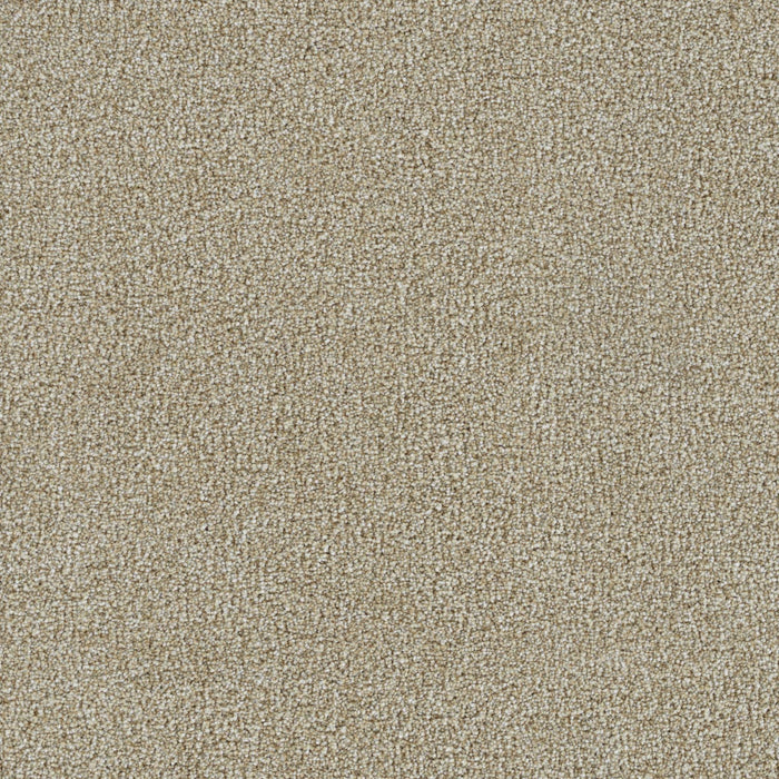 DreamWeaver - Mirage II - Carpet