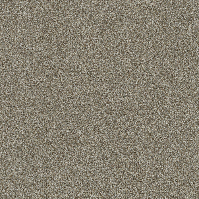 DreamWeaver - Mirage II - Carpet