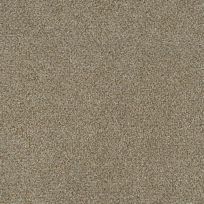 DreamWeaver - Mirage II - Carpet